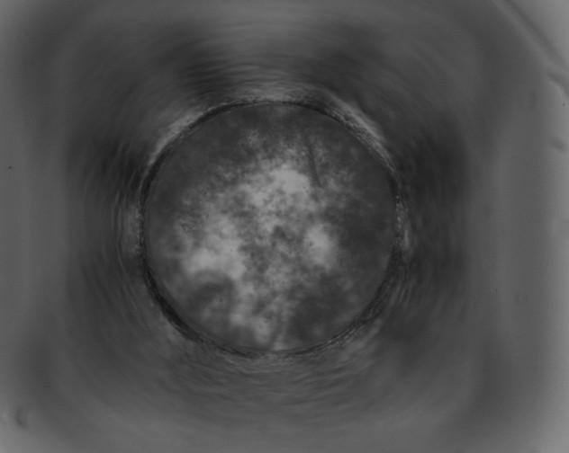 X0000092290012200710051210