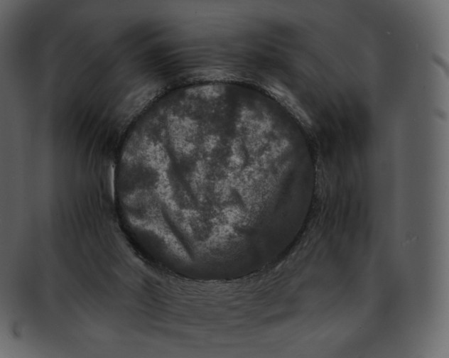 X0000092290014200710051210