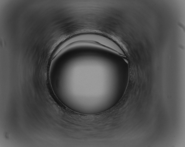 X0000092290015200710051210