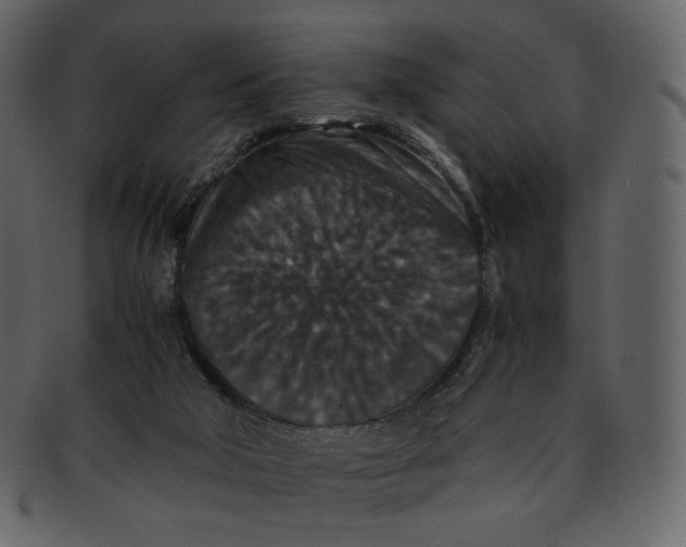 X0000092290018200710051210