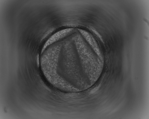 X0000092290020200710051210