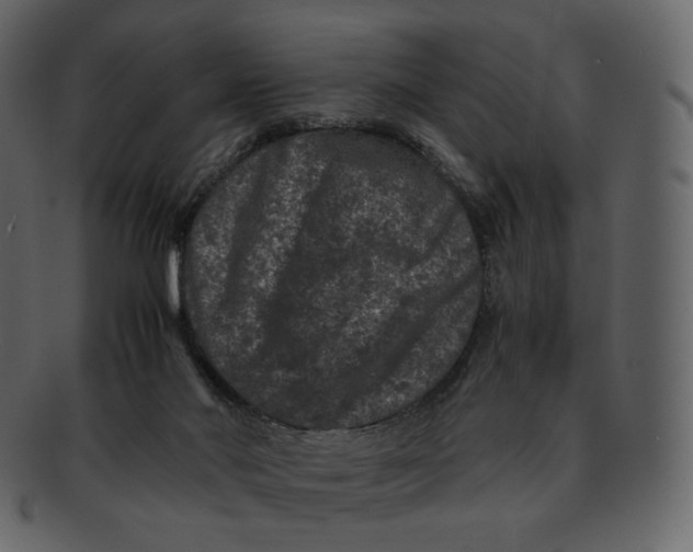 X0000092290022200710051210