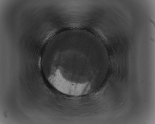 X0000092290024200710051210