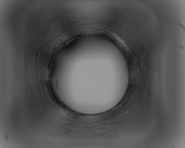 X0000092290025200710051210