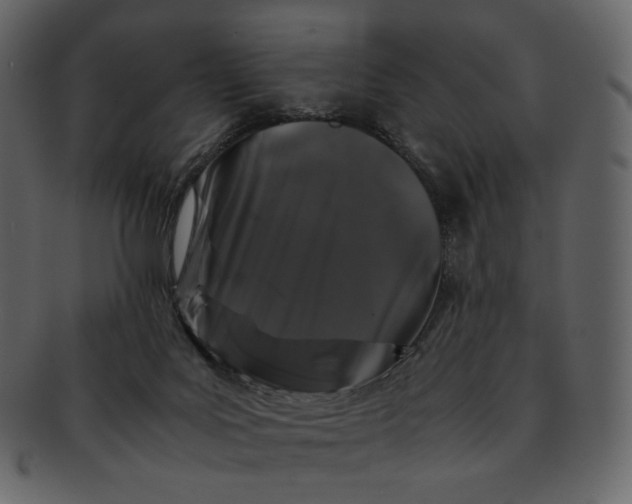 X0000092290027200710051210