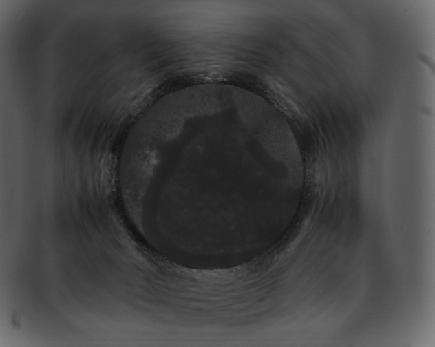 X0000092290030200710051210