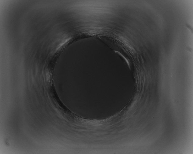 X0000092290031200710051210