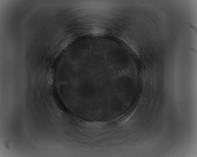 X0000092290032200710051210