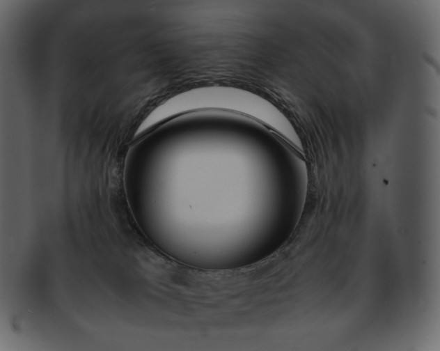 X0000092290037200710051210