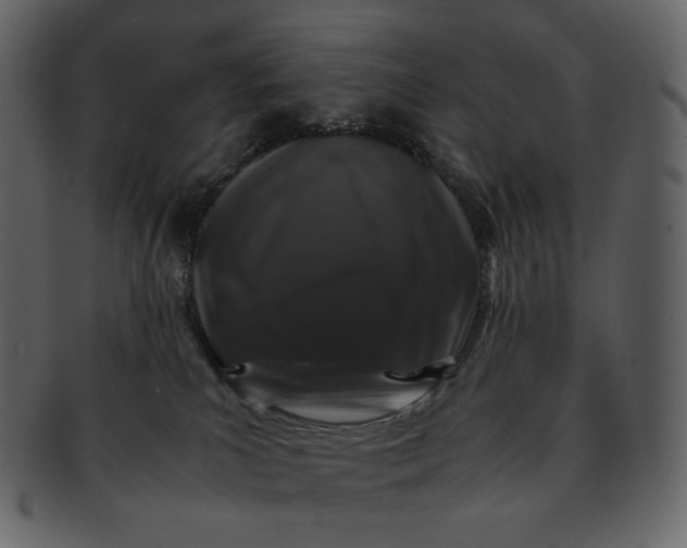 X0000092290039200710051210