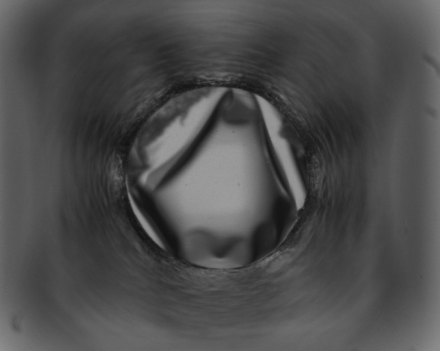 X0000092290040200710051210