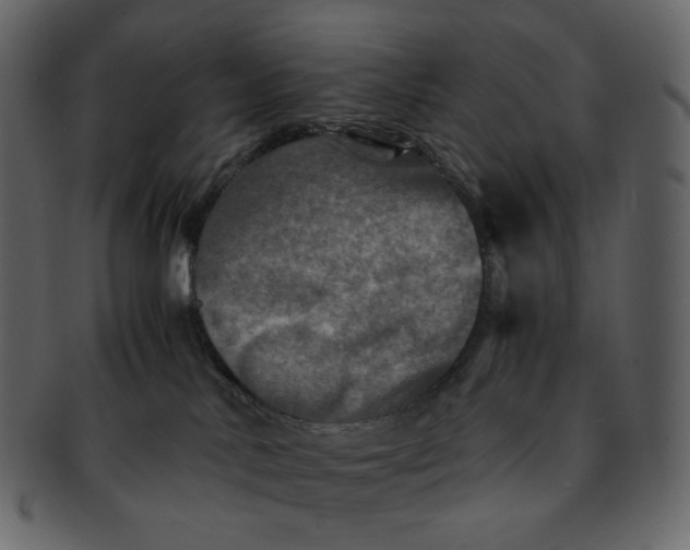 X0000092290042200710051210