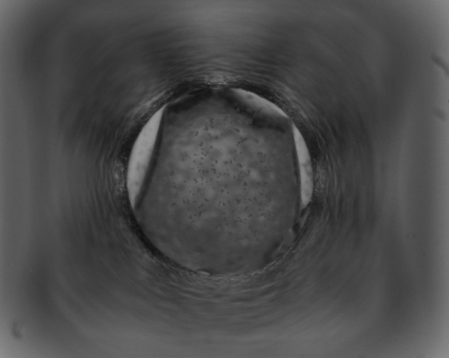 X0000092290043200710051210