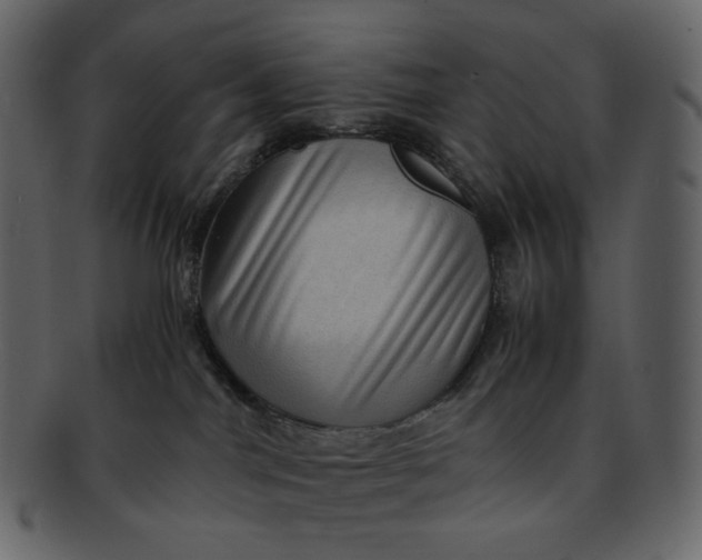 X0000092290044200710051210