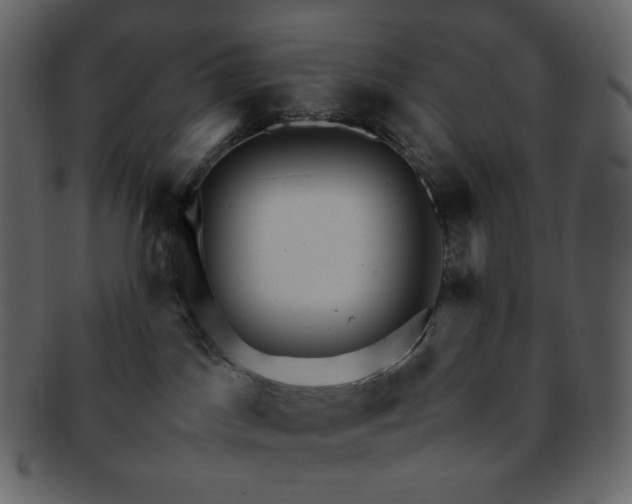 X0000092290045200710051210