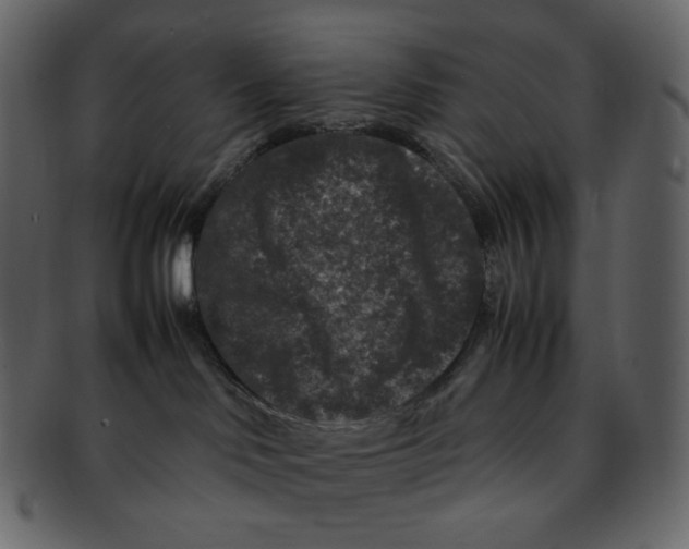 X0000092290046200710051210