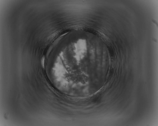 X0000092290047200710051210