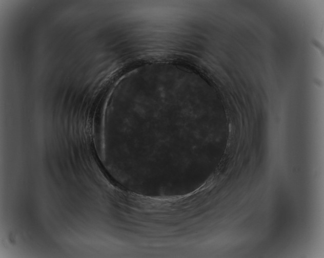 X0000092290048200710051210