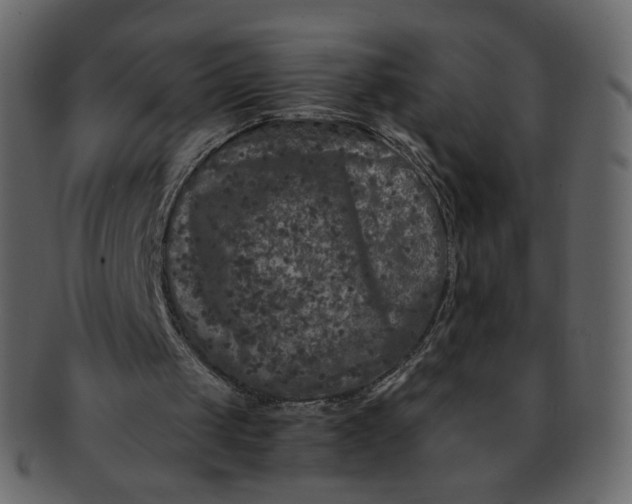 X0000092290049200710051209