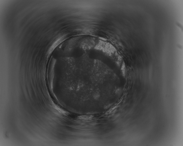 X0000092290051200710051209