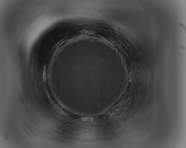 X0000092290052200710051209