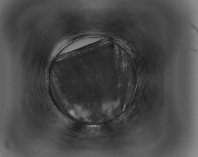 X0000092290053200710051209