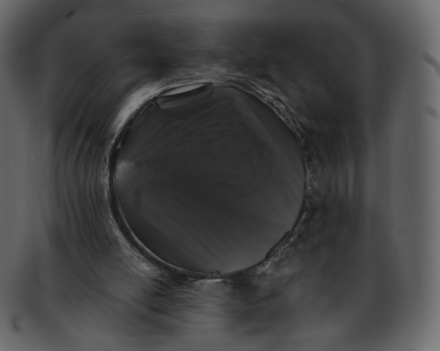 X0000092290054200710051209