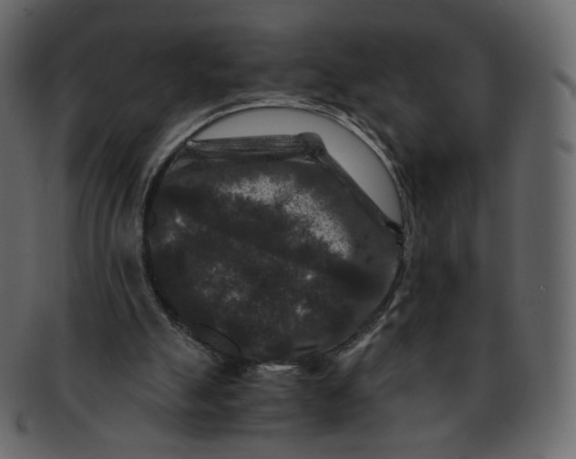 X0000092290055200710051209