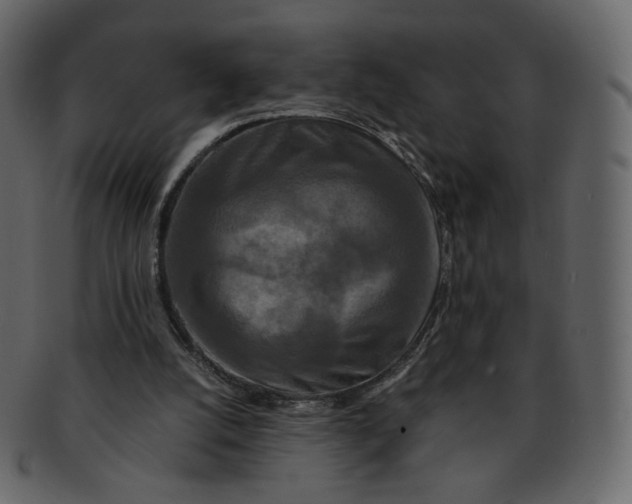 X0000092290056200710051209