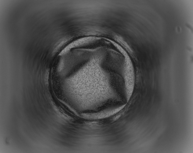 X0000092290058200710051209