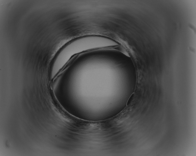 X0000092290060200710051209