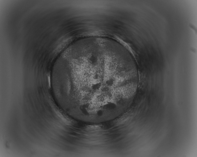 X0000092290061200710051209