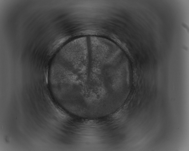 X0000092290062200710051209