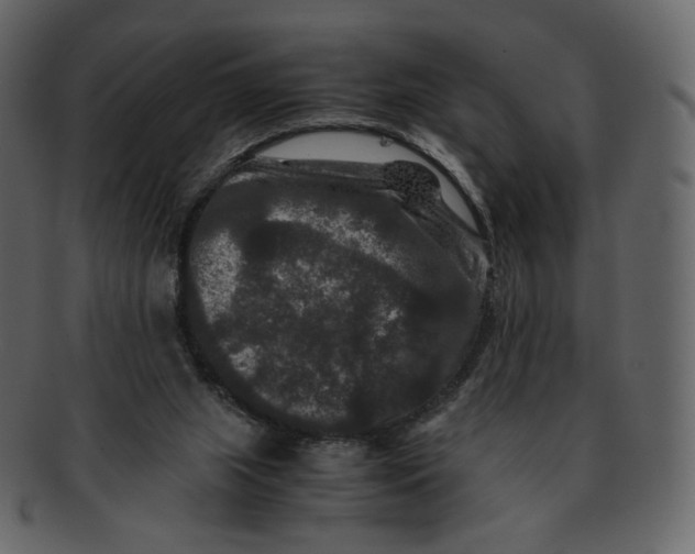 X0000092290063200710051209