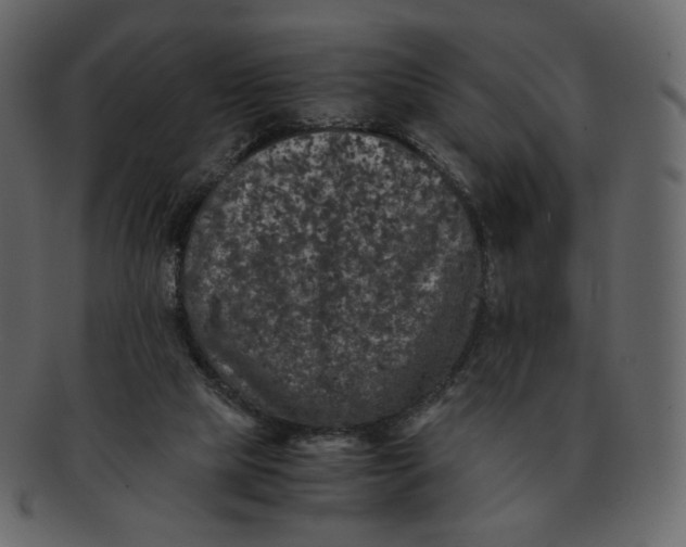 X0000092290065200710051209