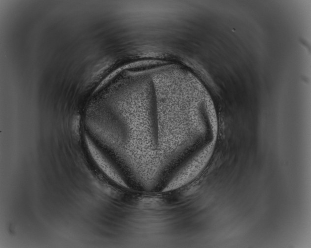 X0000092290066200710051209