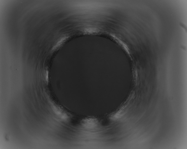 X0000092290067200710051209