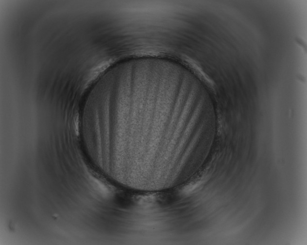 X0000092290068200710051209