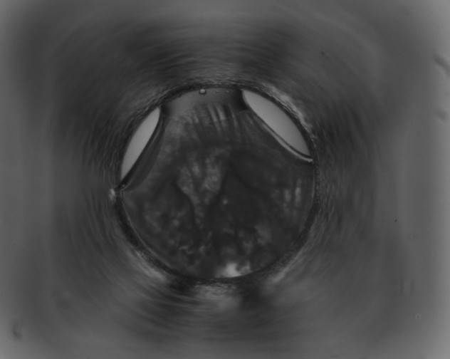 X0000092290069200710051209