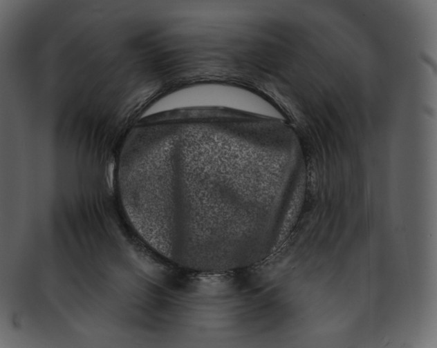 X0000092290070200710051209