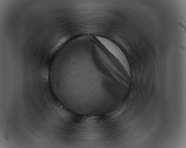 X0000092290072200710051209