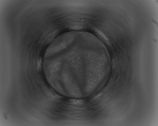 X0000092290073200710051209