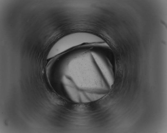 X0000092290074200710051209