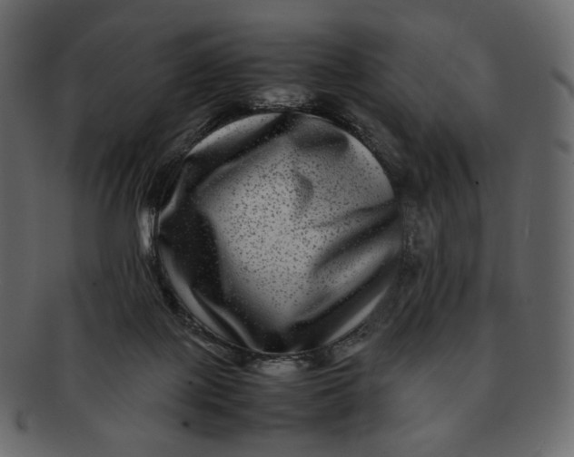 X0000092290075200710051209