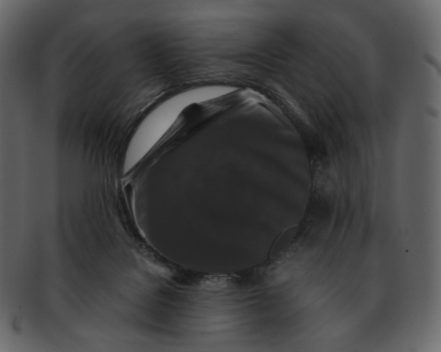 X0000092290076200710051209