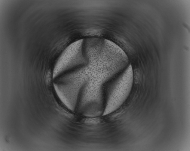 X0000092290077200710051209