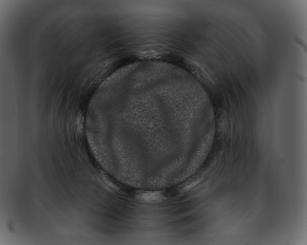 X0000092290081200710051209