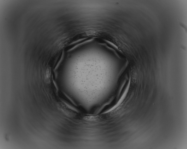 X0000092290082200710051209