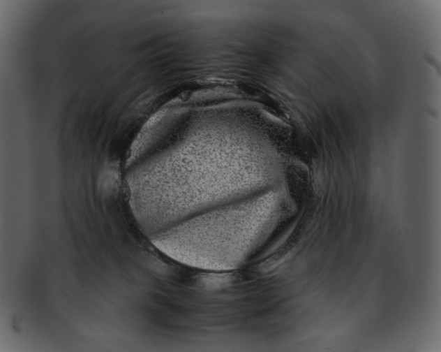 X0000092290085200710051209