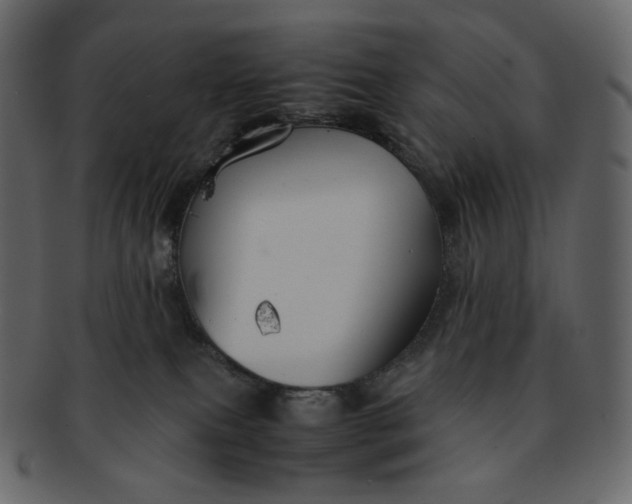 X0000092290087200710051209